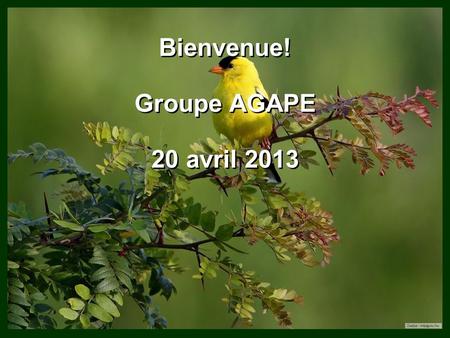 Bienvenue! Groupe AGAPE 20 avril 2013