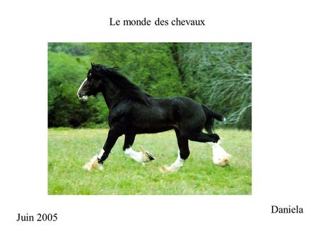 Le monde des chevaux Daniela Juin 2005.