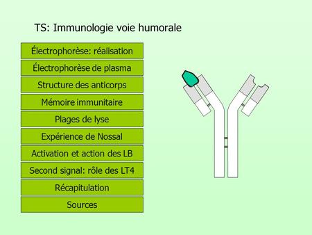 TS: Immunologie voie humorale