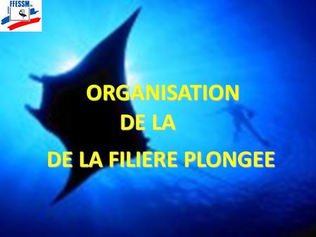 ORGANISATION DE LA DE LA FILIERE PLONGEE.