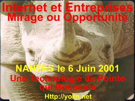 Internet et Entreprises Mirage ou Opportunité  Une Technologie de Pointe qui Bouscule NANTES le 6 Juin 2001.