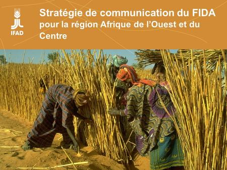 Farmers organizations, policies and markets Stratégie de communication du FIDA pour la région Afrique de lOuest et du Centre.