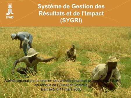 Système de Gestion des Résultats et de l’Impact (SYGRI)