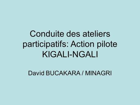 Conduite des ateliers participatifs: Action pilote KIGALI-NGALI David BUCAKARA / MINAGRI.