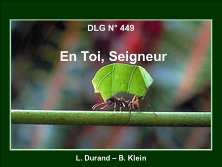 DLG N° 449 En Toi, Seigneur L. Durand – B. Klein.
