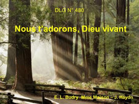 DLG N° 480 Nous tadorons, Dieu vivant E. L. Budry Mme Maison – J. Haydn.