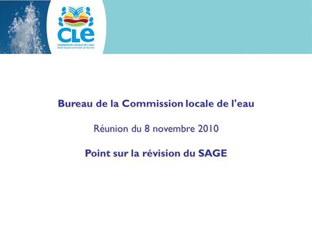 Bureau de la Commission locale de l'eau Réunion du 8 novembre 2010 Point sur la révision du SAGE.