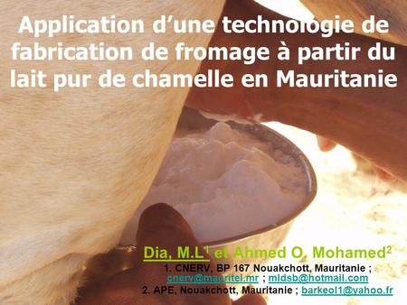 Application d’une technologie de fabrication de fromage à partir du lait pur de chamelle en Mauritanie Dia, M.L1 et Ahmed O. Mohamed2 1. CNERV, BP 167.
