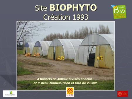 Site BIOPHYTO Création 1993