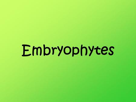 Embryophytes.