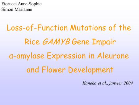 Loss-of-Function Mutations of the Rice GAMYB Gene Impair