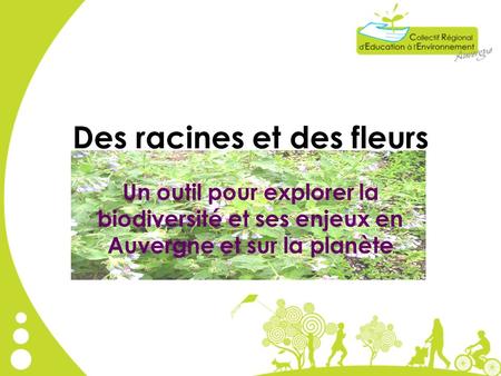 Des racines et des fleurs Un outil pour explorer la biodiversité et ses enjeux en Auvergne et sur la planète.