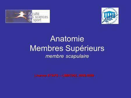 Anatomie Membres Supérieurs membre scapulaire