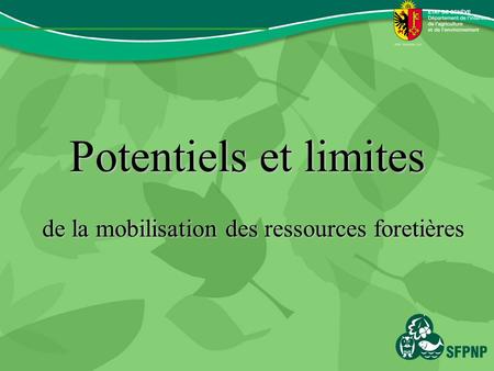 Potentiels et limites de la mobilisation des ressources foretières.