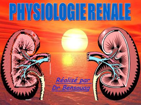 PHYSIOLOGIE RENALE Réalisé par Dr Bensouag.