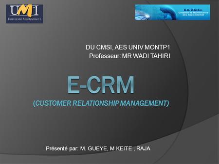 E-CRM (customer relationship management)