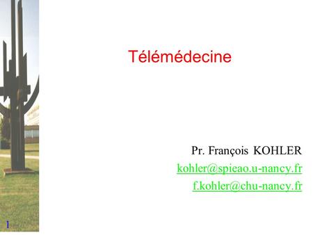 Pr. François KOHLER kohler@spieao.u-nancy.fr f.kohler@chu-nancy.fr Télémédecine Pr. François KOHLER kohler@spieao.u-nancy.fr f.kohler@chu-nancy.fr.