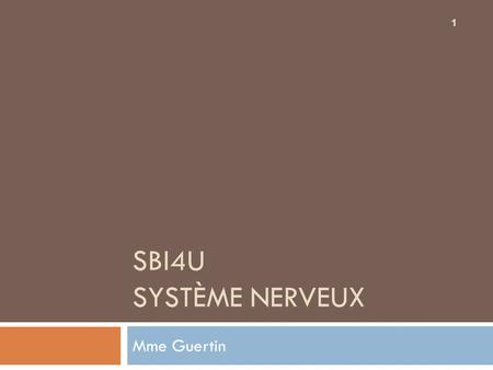 SBI4U Système nerveux Mme Guertin.