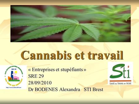 Cannabis et travail « Entreprises et stupéfiants » SRE 29 28/09/2010