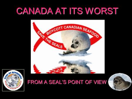 CANADA AT ITS WORST FROM A SEALS POINT OF VIEW SOS, HELP! WE ARE BEING ASSASSINATED. SOS, on est en train de nous assassiner ! SOS, on est en train de.