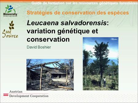 Guide de formation sur les ressources génétiques forestières Stratégies de conservation des espèces Leucaena salvadorensis: variation génétique et conservation.