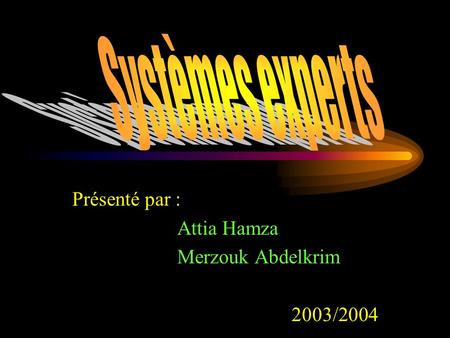 Présenté par : Attia Hamza Merzouk Abdelkrim 2003/2004