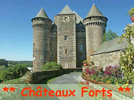 ** Châteaux Forts ** Aigues-Mortes (30) Angers (49)