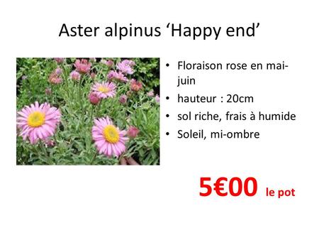 Aster alpinus ‘Happy end’ Floraison rose en mai- juin hauteur : 20cm sol riche, frais à humide Soleil, mi-ombre 5€00 le pot.