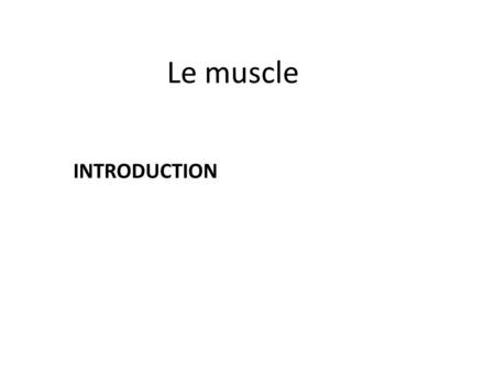Le muscle INTRODUCTION.