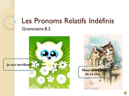 Les Pronoms Relatifs Indéfinis Grammaire 8.2 Je suis terrifiant! Nous avons peur de ce chat…
