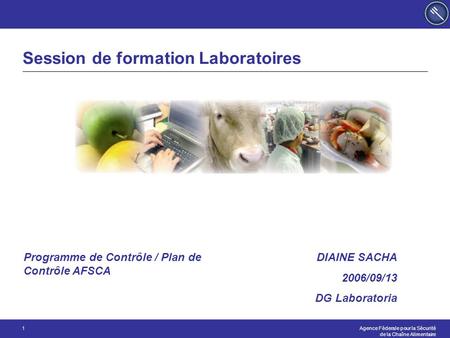 Agence Féderale pour la Sécurité de la Chaîne Alimentaire 1 Session de formation Laboratoires DIAINE SACHA 2006/09/13 DG Laboratoria Programme de Contrôle.