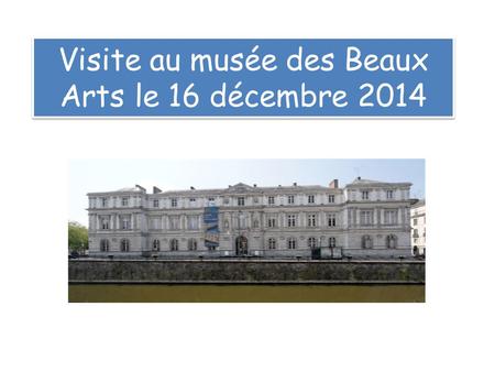 Visite au musée des Beaux Arts le 16 décembre 2014.