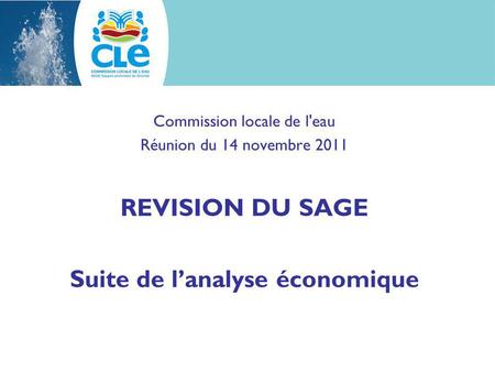 Commission locale de l'eau Réunion du 14 novembre 2011 REVISION DU SAGE Suite de l’analyse économique.