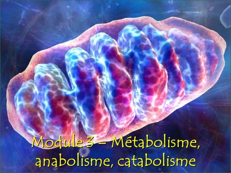 Module 3 – Métabolisme, anabolisme, catabolisme