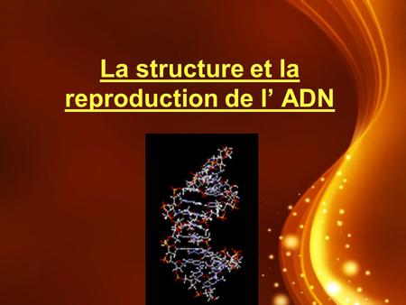 La structure et la reproduction de l’ ADN