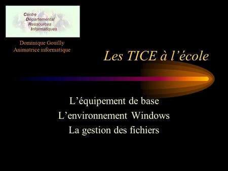 Les TICE à l’école L’équipement de base L’environnement Windows La gestion des fichiers Dominique Gouilly Animatrice informatique.