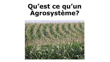 Qu’est ce qu’un Agrosystème?