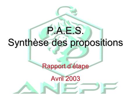 P.A.E.S. Synthèse des propositions Rapport d’étape Avril 2003.