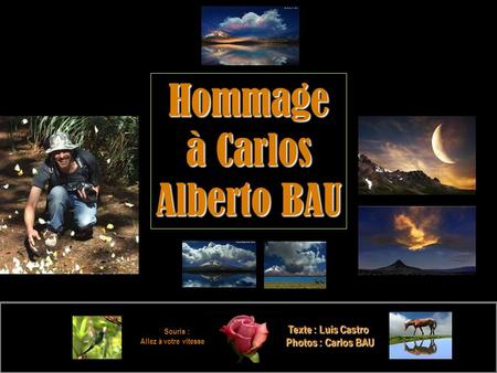 Souris : Allez à votre vitesse e Texte : Luis Castro Photos : Carlos BAU Hommage à Carlos Alberto BAU.