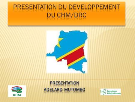  La République Démocratique du Congo a ratifié la convention internationale portant sur la diversité biologique le 15 septembre 1994. La Conférence des.