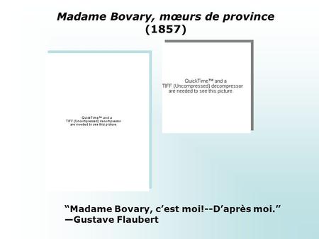 Madame Bovary, mœurs de province (1857)