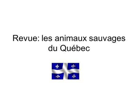 Revue: les animaux sauvages du Québec