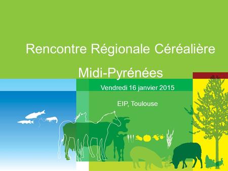 Rencontre Régionale Céréalière Midi-Pyrénées Vendredi 16 janvier 2015 EIP, Toulouse.