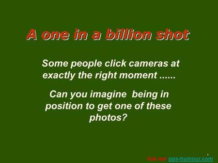 A one in a billion shot A AA A one in a billion shot Some people click cameras at exactly the right moment...... Can you imagine being in position to.