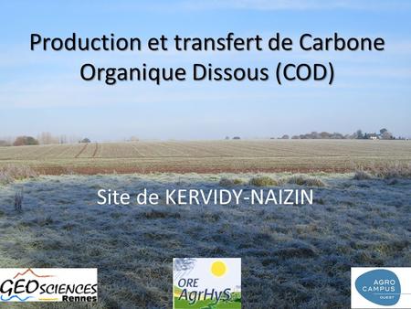 Production et transfert de Carbone Organique Dissous (COD)