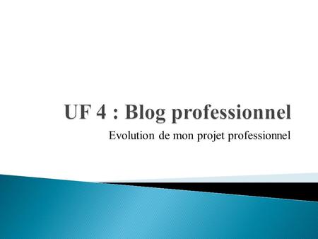 UF 4 : Blog professionnel