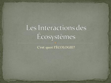 Les Interactions des Écosystèmes