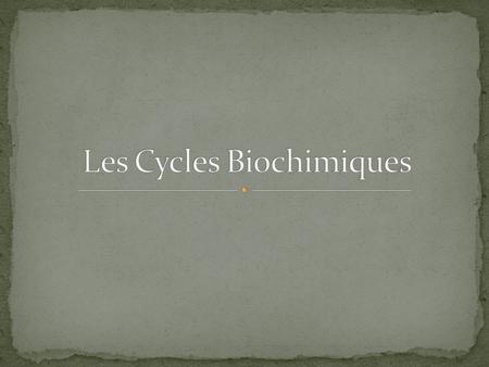 Les Cycles Biochimiques