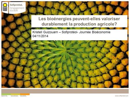 Cliquez pour modifier le style des sous-titres du masque Les bioénergies peuvent-elles valoriser durablement la production agricole? Kristell Guizouarn.