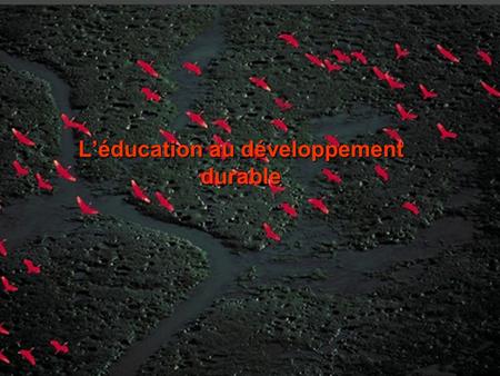 05/04/2015Groupe départemental EDD du Rhône L’éducation au développement durable.